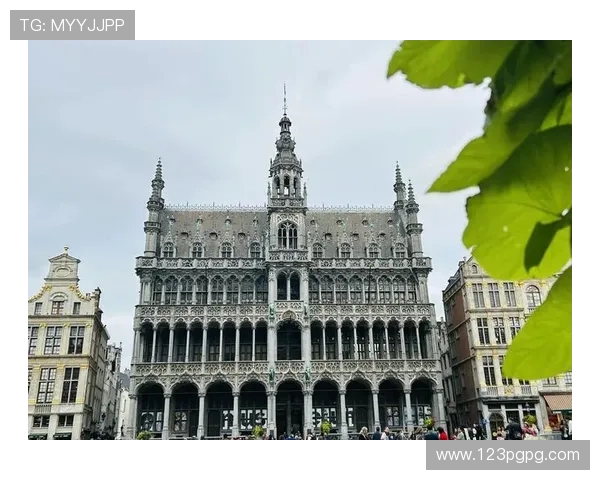 比利时风情直播:探秘欧洲心脏的实时魅力
